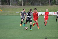 FFA National Youth Championships for Boys - Tourism Canberra