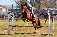 Glen Innes Pastoral and Agricultural Show - Accommodation Sunshine Coast