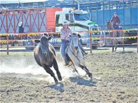 Gresford  Campdraft and Rodeo - QLD Tourism