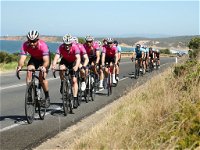 Great Ocean  Otway Classic Ride - New South Wales Tourism 