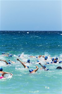 Hamilton Island Endurance Series - Whitehaven Beach Ocean Swim - Accommodation Mount Tamborine