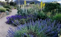 Highfield Gardens - Accommodation Mount Tamborine