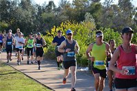 Husky Half Running Festival - New South Wales Tourism 