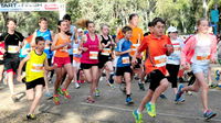 MAAS Group Dubbo Stampede Running Festival - Townsville Tourism