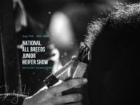 National All Breeds Junior Heifer Show - Accommodation QLD