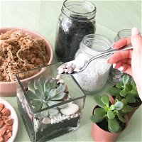 Online live streaming class Make Your Own Terrarium - Accommodation Noosa