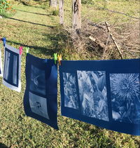 Photography - Cyanotype - Surfers Gold Coast