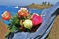 Roses by the Seaside National Rose Championships and Conference - Wagga Wagga Accommodation