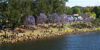 Shoalhaven River Festival - Gold Coast 4U