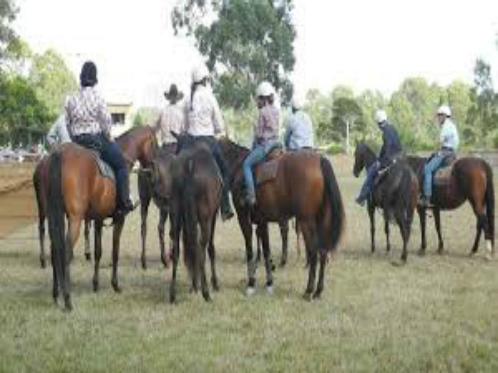 Booral NSW Accommodation NT