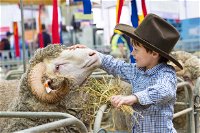 Sydney Royal Easter Show - Schoolies Week Accommodation