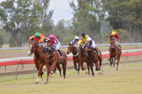 Thangool Races - Accommodation Port Macquarie