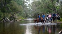 The Man From Snowy River Bush Festival - New South Wales Tourism 