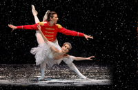 The Nutcracker and Don Quixote - Accommodation Adelaide