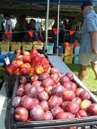 The Farmers Market on Manning - ACT Tourism
