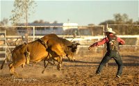 Walgett Charity Bushman's Carnival Rodeo and Campdraft - Great Ocean Road Tourism