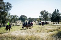 Weddin Mountain Muster - New South Wales Tourism 