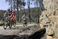 Wollombi Wild Ride Mountain Bike Ride - New South Wales Tourism 