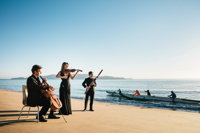 Australian Festival of Chamber Music - Whitsundays Tourism