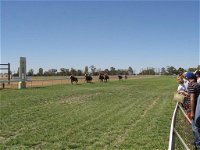 Balranald Races -Derby Day - Grafton Accommodation