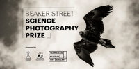 Beaker Street Science Photography Prize - Accommodation Rockhampton