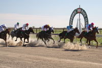 Bedourie Races and Rodeo - Accommodation Broken Hill