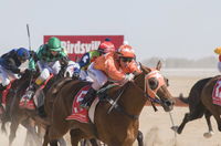 Birdsville Races - Accommodation Sunshine Coast