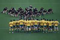 Bledisloe Cup Double-Header Qantas Wallabies v All Blacks  Buildcorp Wallaroos v Black Ferns - Accommodation ACT