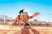 Boulia Camel Races - WA Accommodation