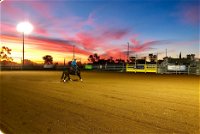 Cloncurry Stockmans Challenge and Campdraft - New South Wales Tourism 