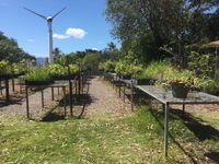 Conservation Volunteers Australia Townsville - Ocean View Nursery - Accommodation Australia