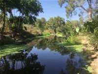 Conservation Volunteers Australia Townsville - Creekwatch