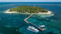 Great Adventures Green Island Ocean Swim - Townsville Tourism