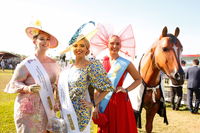 Great Northern Darwin Cup Carnival - Accommodation in Surfers Paradise