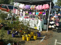 Gresford Community Markets - Sunshine Coast Tourism