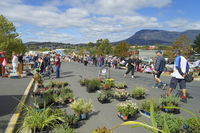 Hobart Showground Sunday Market - Weekly - Sydney Tourism