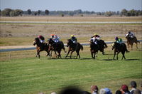 Jerilderie Gold Cup Races - Restaurant Darwin