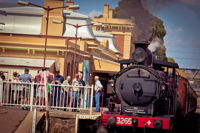 Junee Rhythm n Rail Festival - QLD Tourism