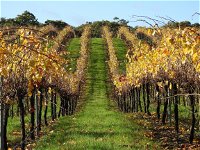 Miners Ridge Wine Tasting - New South Wales Tourism 