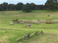 Mount Gambier and District Pony Club Horse Trials 2020 - Grafton Accommodation