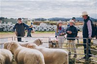 Mudgee Small Farm Field Days - Redcliffe Tourism
