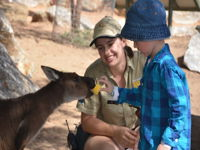 Mums and Cubs And Dads too - Tourism Bookings WA
