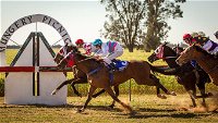 Mungery Picnic Races - New South Wales Tourism 