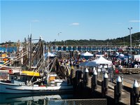 Ocean Harvest Festival - Byron Bay Accommodation