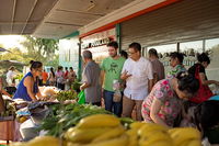 Rapid Creek Markets - Maitland Accommodation