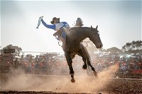 Rodeo by the Sea - Streaky Bay - Accommodation Nelson Bay