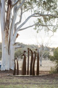 Sculptures in the Garden - New South Wales Tourism 