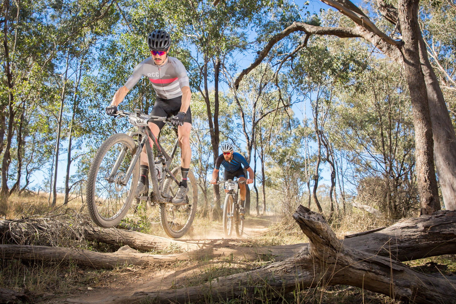 Sheldon QLD Tourism TAS