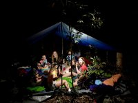 Summer  Family Nature Camp - Accommodation Daintree