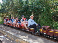 Twilight Run   Willans Hill Miniature Railway - New South Wales Tourism 